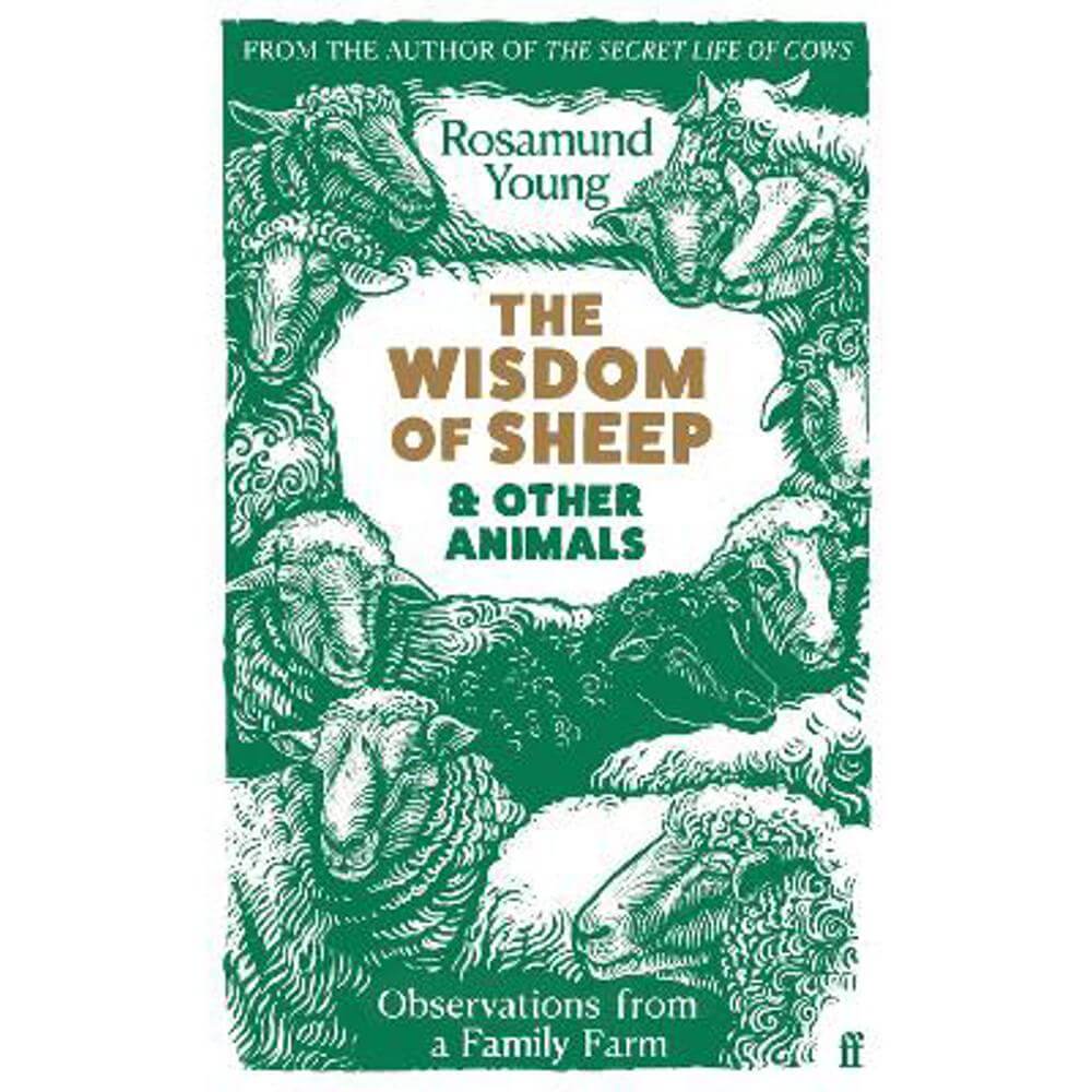 The Wisdom of Sheep & Other Animals: Observations from a Family Farm (Hardback) - Rosamund Young